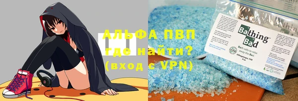 индика Балабаново