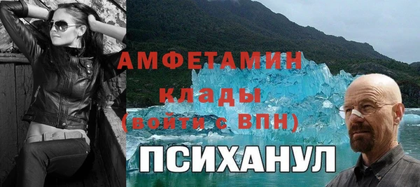индика Балабаново