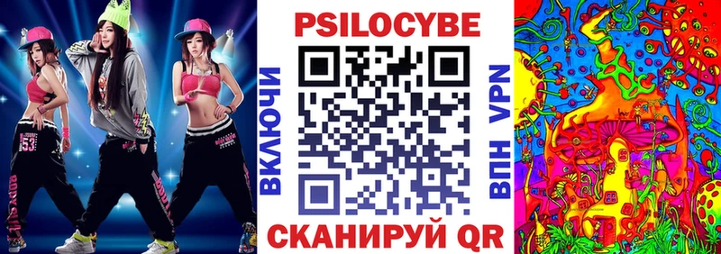 omg зеркало наркота Новоржев Псилоцибиновые грибы Psilocybe